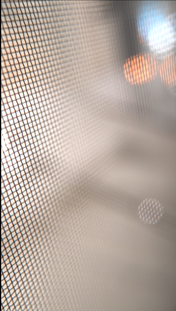 Optional Insect Net